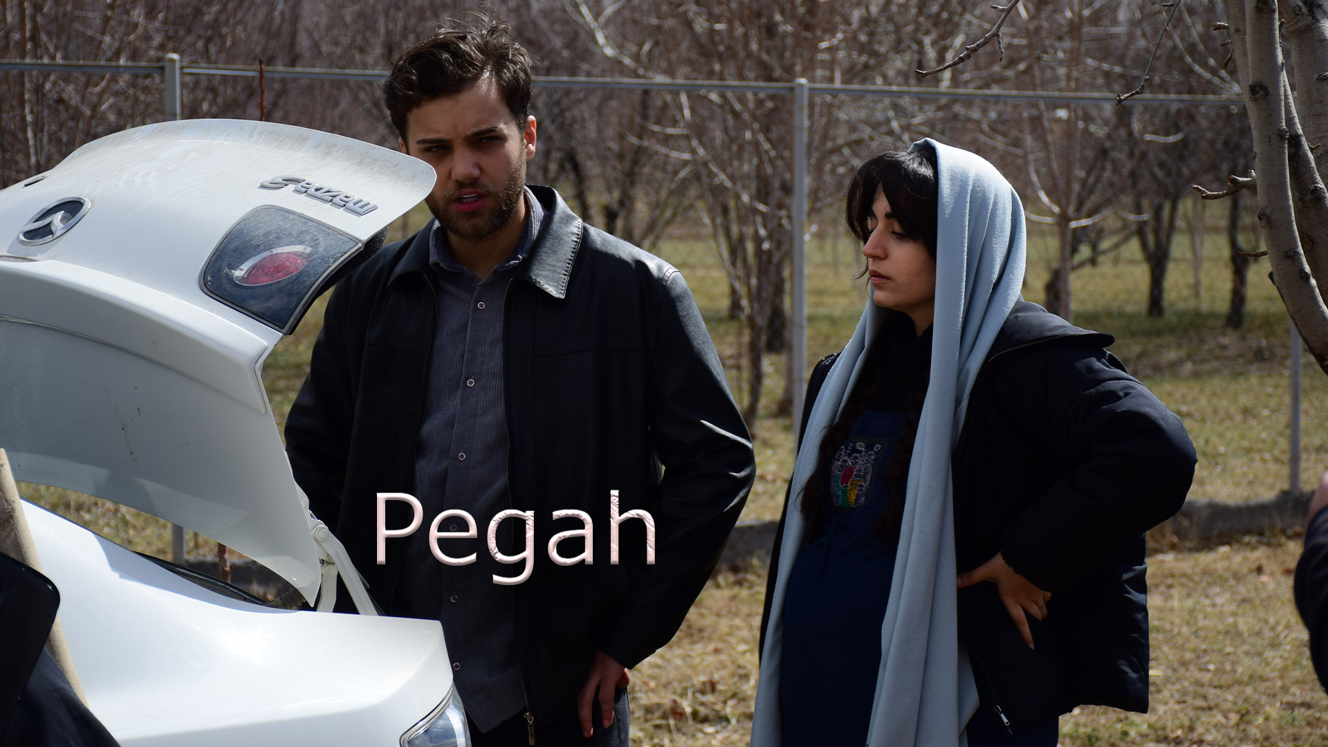 Pegah poster